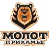 Description de l'image Logo Molot Prikamie Perm.jpg.