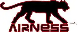 logo de Airness