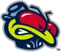 Logo secondaire des Blue Jackets, de 2000 à 2004