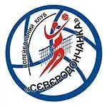 Logo du VK Severodontchanka