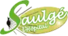 Image illustrative de l’article Saulgé-l'Hôpital