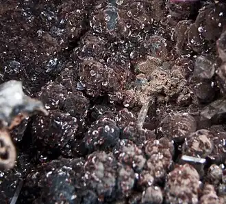 Image illustrative de l’article Lotharmeyerite