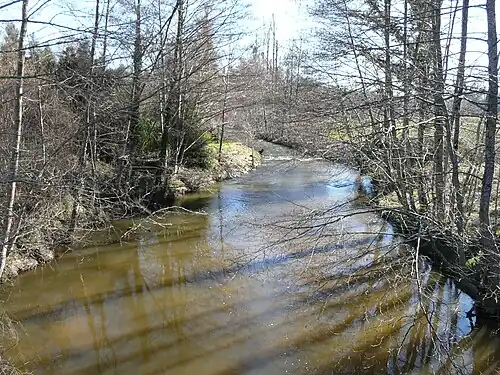 La Loue près du moulin du Pont, à Sarlande.