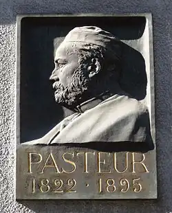 Louis Pasteur, bas-relief au no&nbsp;3 rue des Veaux à Strasbourg.