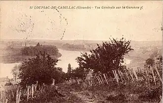 Vue sur la Garonne.