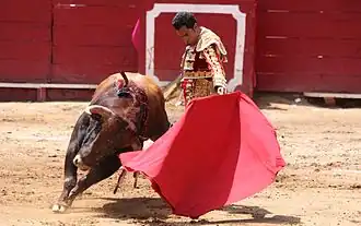 Image illustrative de l’article Luis Bolívar