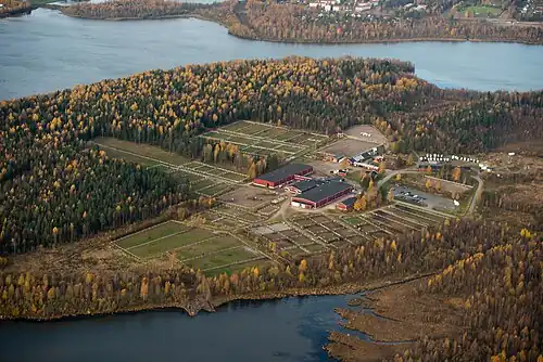 Club d'équitation d'Hertsön.