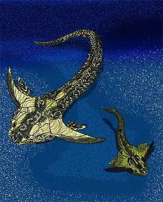 Lunaspis sp., un Pétalichthyide.