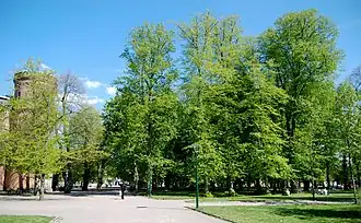 Image illustrative de l’article Lundagård