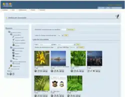 Description de cette image, également commentée ci-après