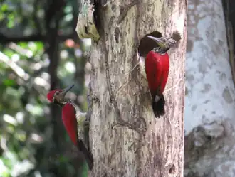 Description de cette image, également commentée ci-après
