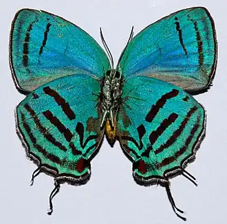 Description de cette image, également commentée ci-après