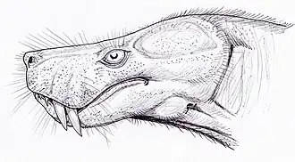 Tête de Lycosuchus vanderrieti, par le paléoartiste Dimitri Bogdanov.