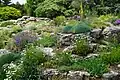 Jardin alpin (jardin de rocaille) du jardin botanique de Lyon.