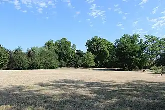 Au premier plan une étendue d’herbe rase amène vers des arbres en second plan.