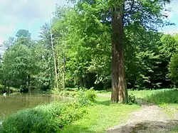 Parc du château.