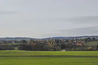 Image illustrative de l’article Jorat