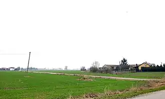 Kłaki