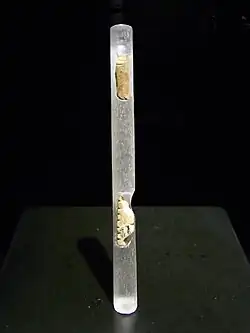 Photographie en couleurs sur fond noir d'un tube transparent reposant sur un support carré noir et contenant deux fragments d'artefact.