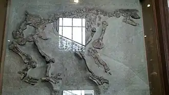 Description de cette image, également commentée ci-après