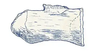 Description de l'image Macrurosaurus semnus.jpg.