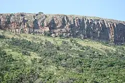 Photo d'une biome de la chaine montagneuse du Magaliesberg, en Afrique du Sud.