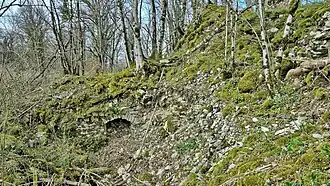 Les vestiges du château (vue sud).