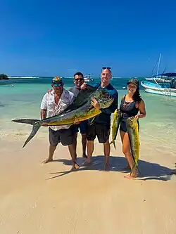Voici un grand Mahi mahi mâle, de 48 kg et 1,62 mètre de long, pêché à Akumal, Riviera Maya au Mexique en mai 2025.