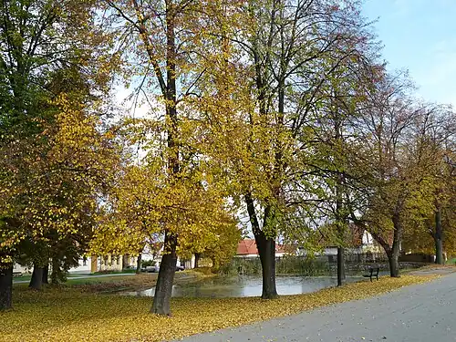 Étang du village.