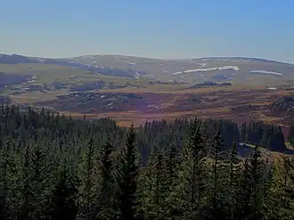 Le signal de Mailhebiau vu de l'est.