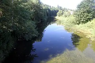 Le Doubs à Maisons-du-Bois.