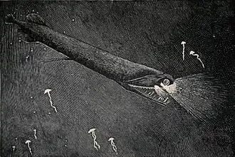 Description de cette image, également commentée ci-après