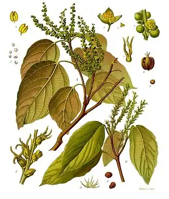 Description de cette image, également commentée ci-après