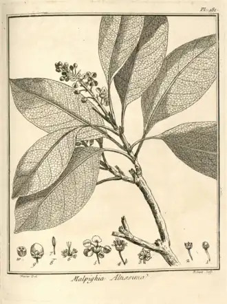 Description de cette image, également commentée ci-après