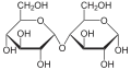 Le maltose (α-D-glcp(1→4)-D-glcp)