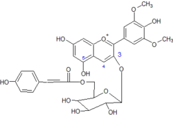 3-coumaroyl-6-glucoside de malvidine
