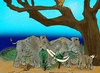 Description de cette image, également commentée ci-après