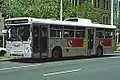 Bus standard MAN de construction australienne à Adélaïde en 1997