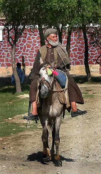 Image illustrative de l’article Cheval en Afghanistan