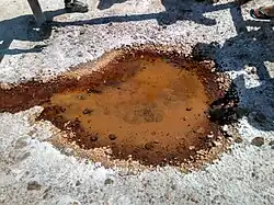 Source de Hortales, salines d'Iptuci