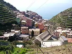 Manarola et son vignoble