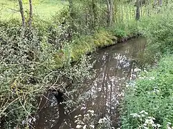 Photographie du Mandit.