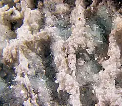 Image illustrative de l’article Mansfieldite