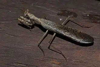 Description de cette image, également commentée ci-après