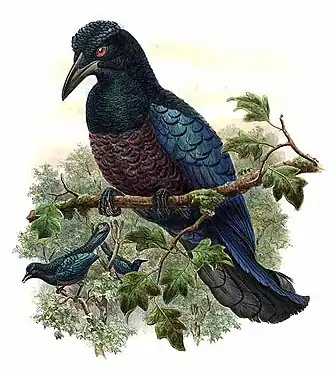 Description de cette image, également commentée ci-après