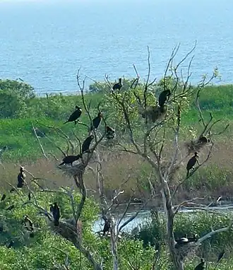 Image illustrative de l’article Lac de Manyas