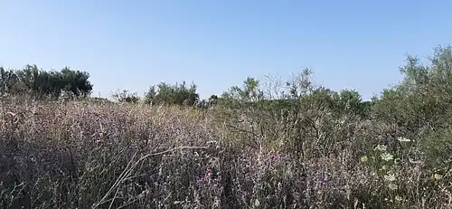 Maquis autour de Porto Badisco