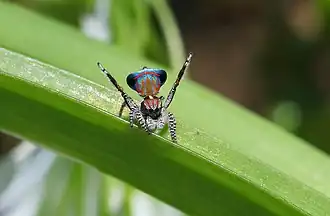 Description de cette image, également commentée ci-après
