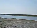 Le rivage vu de Faro