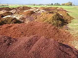 Photographie montrant un tas de marc de raisin en attente d'être distillé ; il peut aussi être composté et être utilisé pour faire un apport de matière organique.